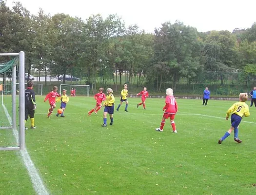 04.10.2009 FC Rot-Weiß Erfurt vs. JSG Eckardtshausen