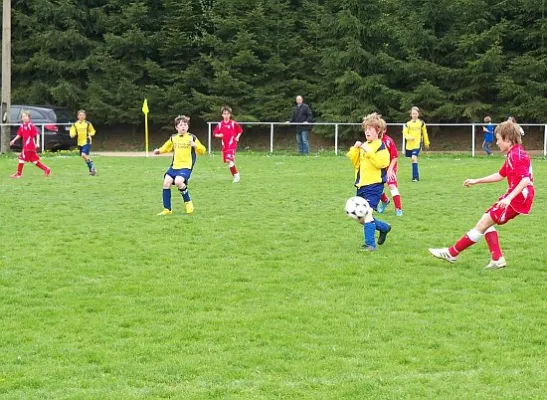 02.05.2010 JSG Eckardtshausen vs. FC Rot-Weiß Erfurt